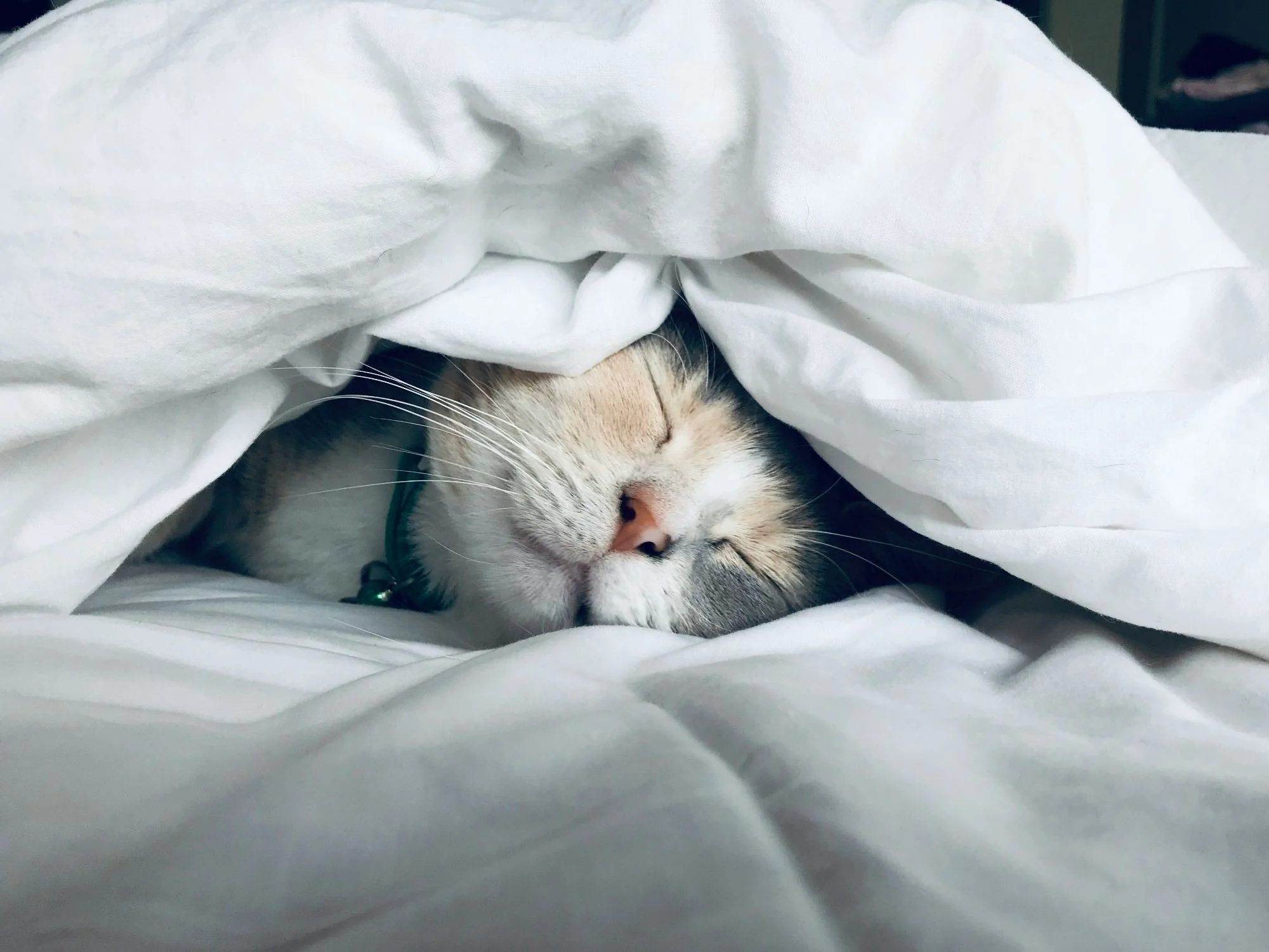 5 Tips to Improve Your Sleep Naturally